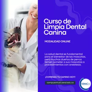Imagen de portada para Curso online Curso de Limpieza Dental Canina 