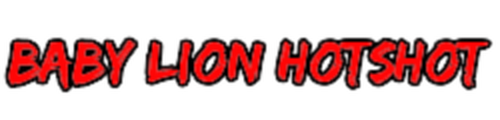 Baby Lion Hotshot Academy logo