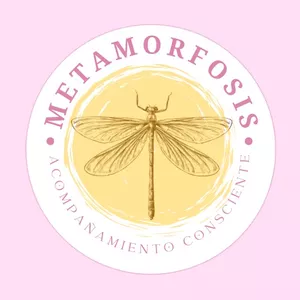 Imagen de portada para Curso online Metamorfosis Educativa