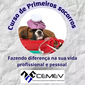 Capa do curso 