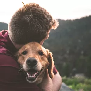 Imagen de portada para Curso online Guaao