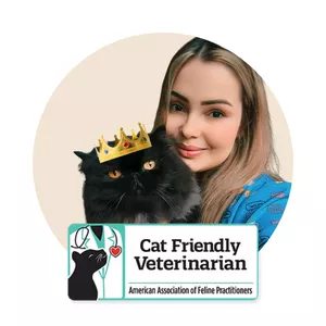 Imagem de Curso CatSitter de Excelência 2.0: Formação Profissional em Cuidados Felinos criado por Veterinária Yasmin na hotmart