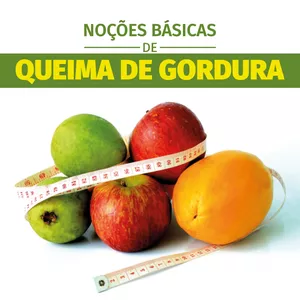 Imagem de capa para o Ebook Livro - Noções básicas de queima de gordura