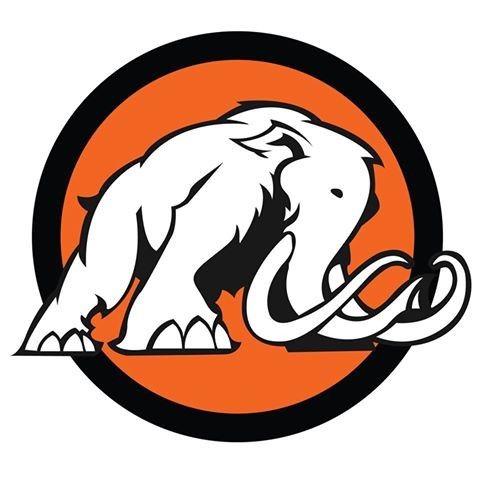 Mammoth Interactive