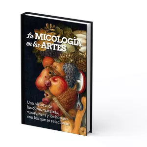 Imagen de portada para Ebook La Micología en las Artes: Oriente
