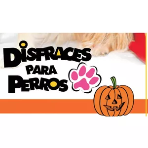Imagen de portada para Ebook Disfraces para Perros