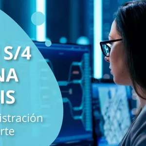 Imagen de portada para Curso online SAP S/4 HANA BASIS Netweaver – Administración y Soporte Tecnológico