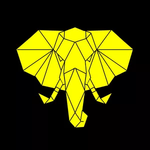 Imagen de portada para Curso online VORTEX OPTIONS