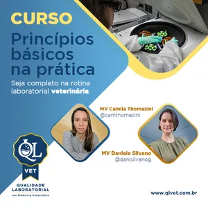 Imagem de capa para o Curso online [QL Vet] Princípios Básicos na Prática