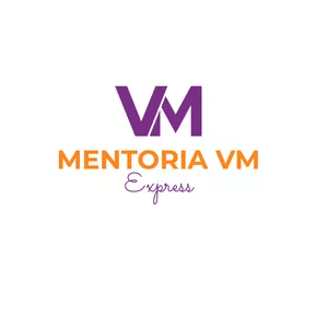 Imagem de capa para o Curso online Mentoria VM Express