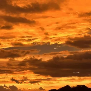 Cover image for Online course Naanu pics 