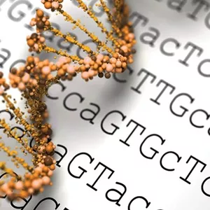 Imagem de capa para o Curso online TÉCNICAS DE SEQUENCIAMENTO