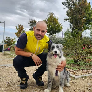 Imagen de portada para Curso online Juega y obedece