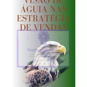 Imagem de capa para o Ebook Visao de Águia Estratégias nas Vendas