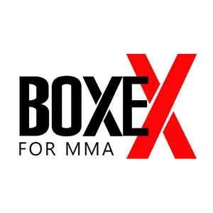 Imagem principal do produto Boxe X - For MMA