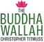 School of Mindfulness Online
