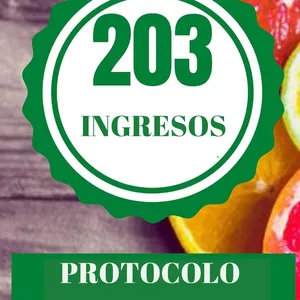 Imagen de portada para Ebook PROTOCOLO QUEMAGRASAS