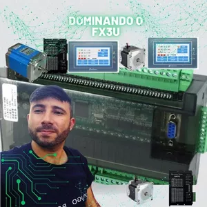 Imagem de capa para o Curso online DOMINANDO O FX3U PLC CHINES