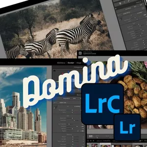 Imagen de portada para Curso online Domina Lightroom Classic: Curso Completo de Edición Fotográfica