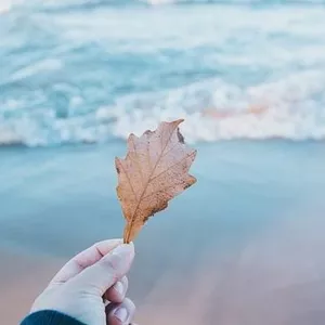 Imagen de portada para Curso online Cómo surfear las olas del final de la vida?