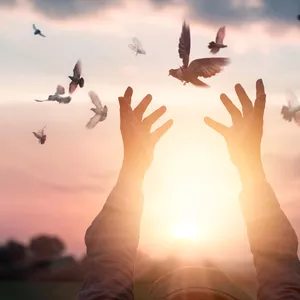 Imagen de portada para Curso online VIVIR LIBREMENTE