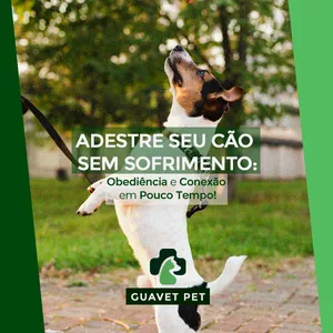 Imagem de capa para o Ebook Adestre Seu Cão Sem Sofrimento: Obediência e Conexão em&nbsp;Pouco&nbsp;Tempo