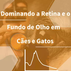 Imagem de capa para o Curso online Dominando a Retina e o Fundo de Olho de Cães e Gatos