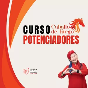 Imagen de portada para Curso online 2026 CURSO DE POTENCIADORES
