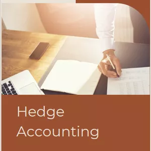Imagem de capa para o Ebook Hedge Accounting 