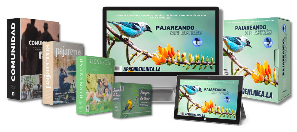 CURSO DE OBSERVACIÓN DE AVES