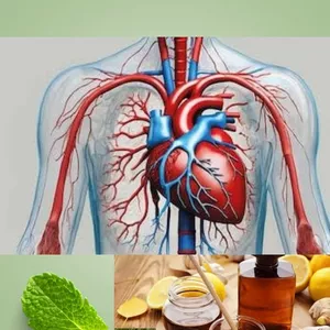Imagem de capa para o Ebook como recuperar a saúde do seu coração com terapias naturais e ervas medicinais 