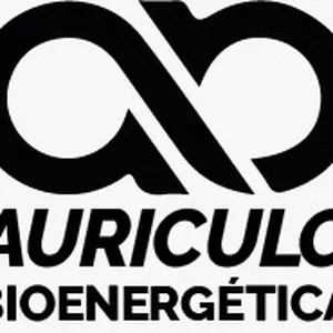 Imagem do curso Auriculo Bioenergética (curso de auriculoterapia)