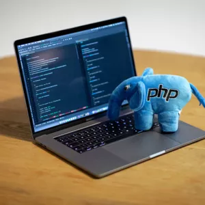 Imagem de capa para o Curso online Mentoria Digital sobre PHP