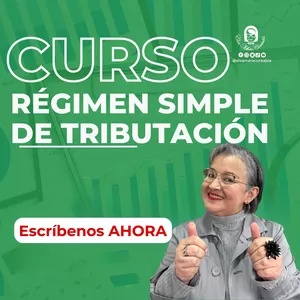Imagen de portada para Curso online Curso Régimen Simple de Tributación 