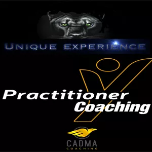PRACTITIONER COACHING