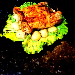 Imagem de capa para o Ebook Cozinha Pratica Susana Lirio 