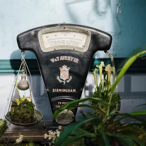 Imagem de capa para o Ebook  Aprenda a Cultivar Paz e Felicidade em Seu Dia a Dia