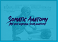 Somatic Anatomy