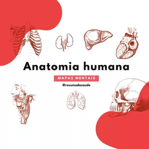 Imagem de capa para o Ebook Manual da Anatomia Mapeada