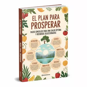Imagen de portada para Ebook El Plan para Prosperar
