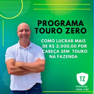 Imagem de capa para o Curso online Programa Touro Zero