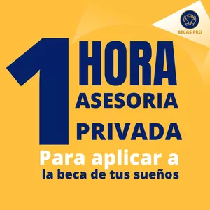 Imagem de capa para o Curso online Consultoría privada de 1 hora 