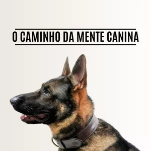 Imagem de capa para o Curso online O Caminho da Mente Canina