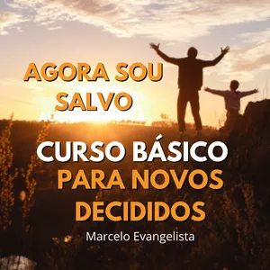 Imagem principal do produto CURSO BÁSICO PARA NOVOS DECIDISOS