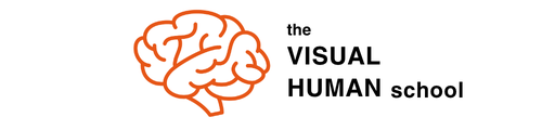 The Visual Human School logo