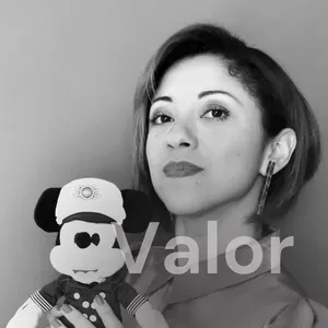 Imagem de capa para o Curso online VALOR