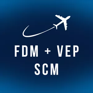 Imagem de capa para o Curso online Alertas (FDM + VEP + SCM)