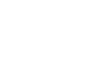 IGNITE Veterinary Solutions