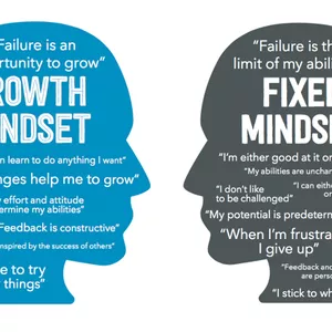 Imagen de portada para Curso online FULL-MINDSET Reprograma y desbloquea tu potencial