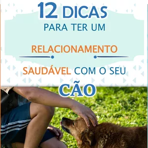 Imagem de capa para o Ebook 12 dicas para ter um relacionamento saudável com o seu cão